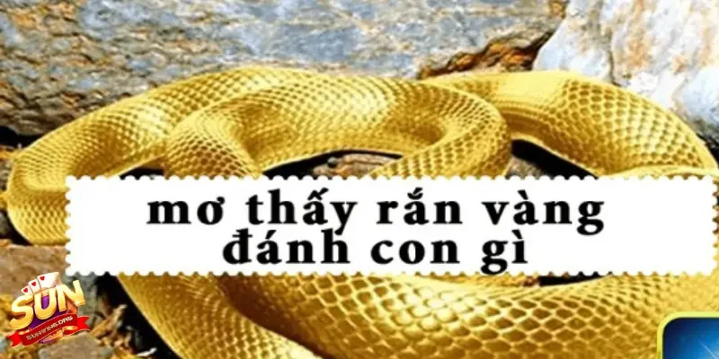 Câu hỏi về ngủ mơ bắt rắn đánh con gì thắng lớn lô đề