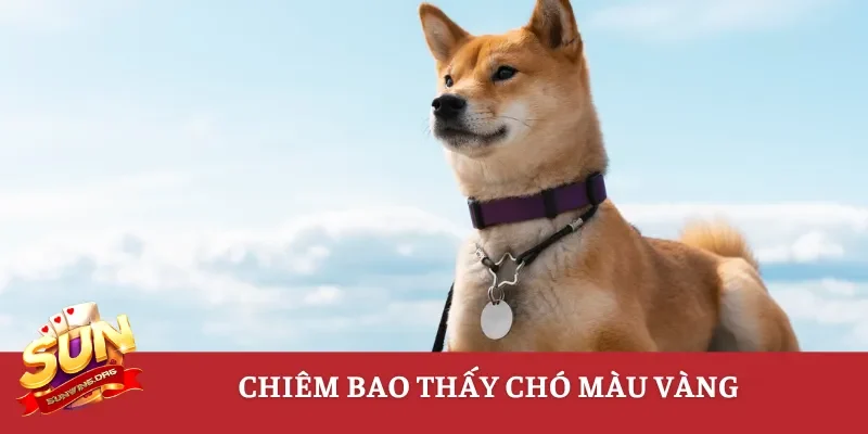 Chiêm bao thấy chó màu vàng