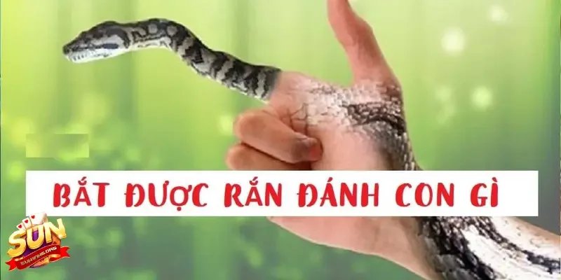 Hướng dẫn ngủ mơ bắt rắn đánh con gì thắng lớn lô đề