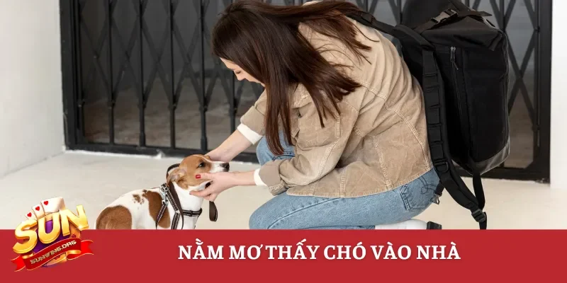 Nằm mơ thấy chó vào nhà