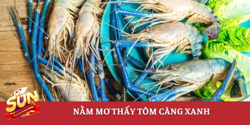 Nằm mơ thấy tôm càng xanh