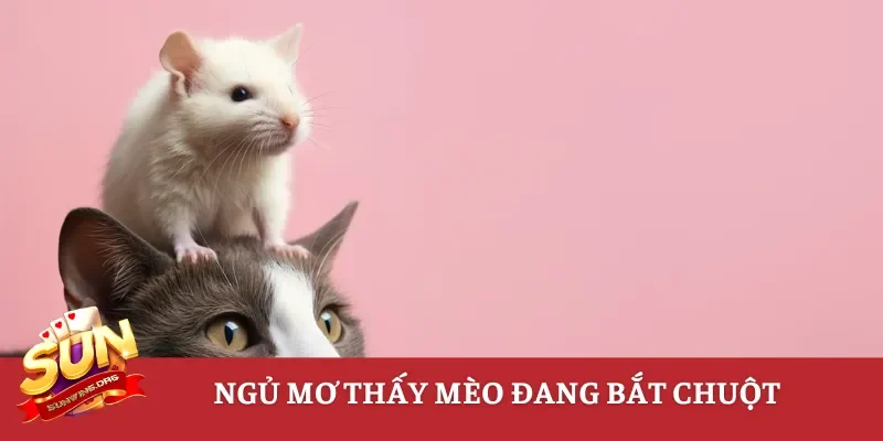 Ngủ mơ thấy mèo đang bắt chuột