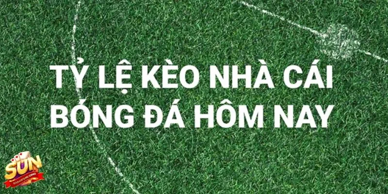 Những trục ảnh hưởng đến nhận định