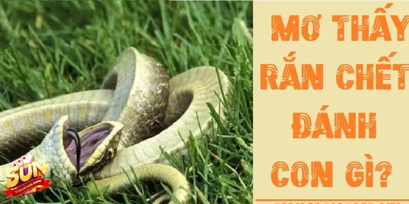 Rắn – Biểu tượng của sự mạnh mẽ và tiềm ẩn sức mạnh